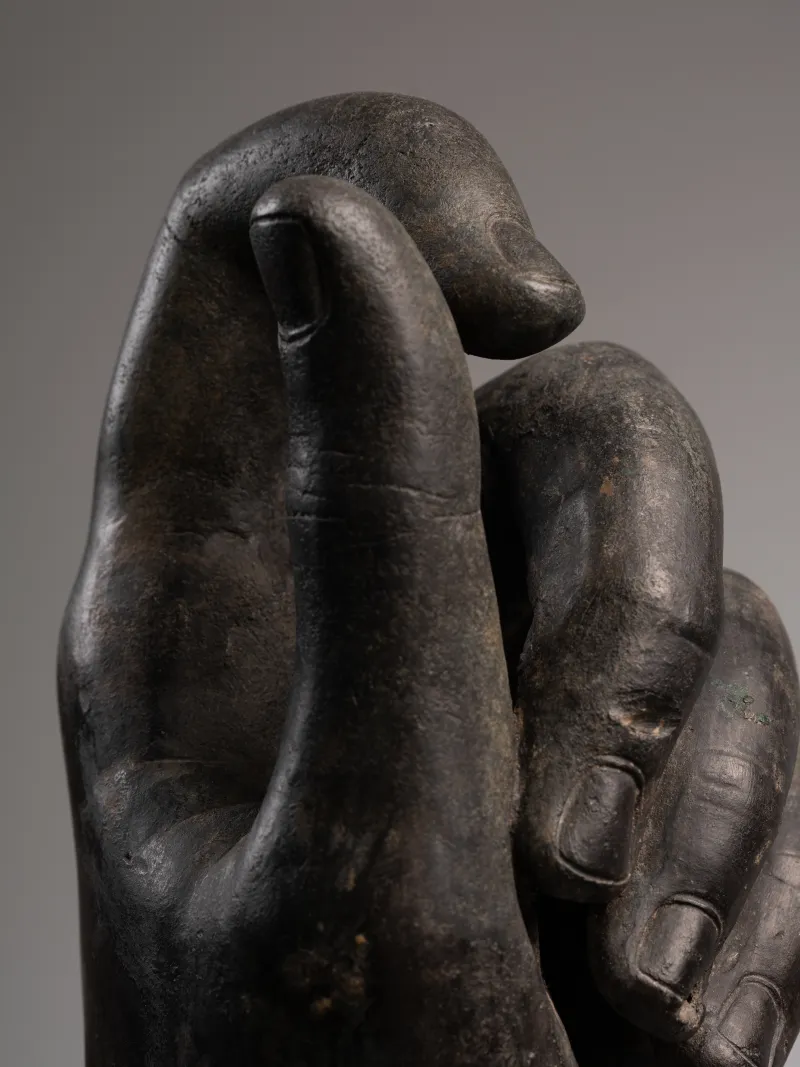 Monumental Left Hand — detail