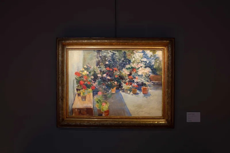 Sorolla: A Celebration of Life
