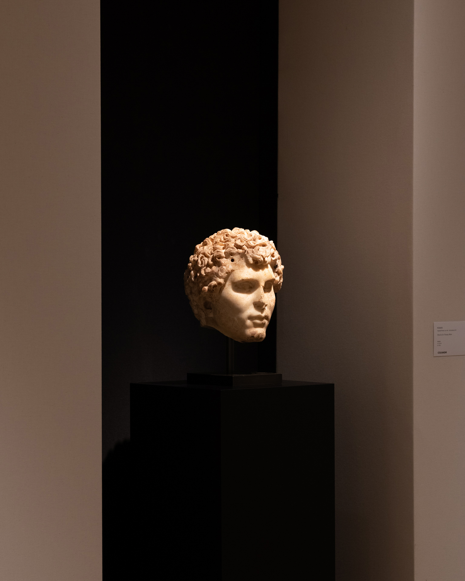 BRAFA 2026
