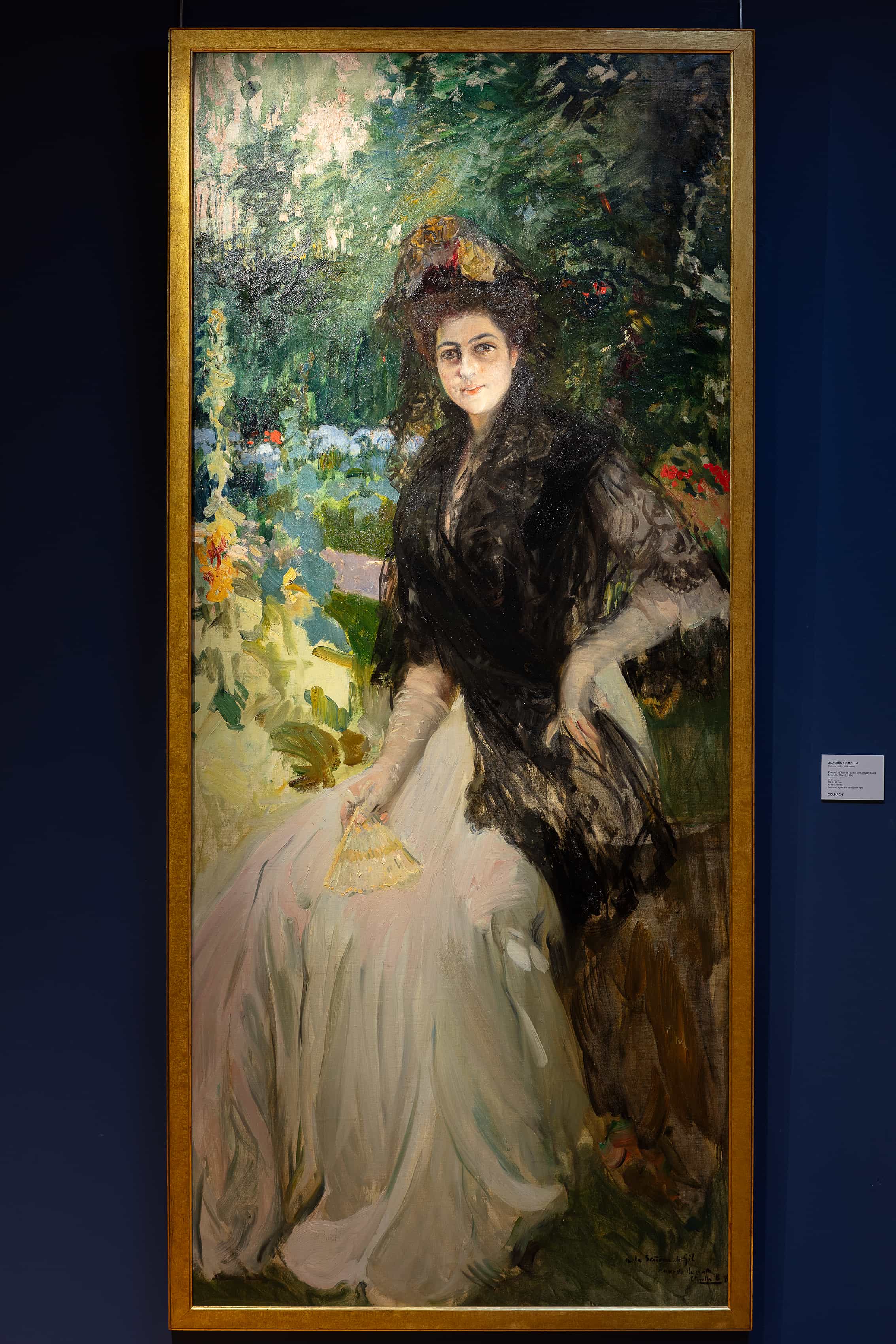 Sorolla: A Celebration of Life
