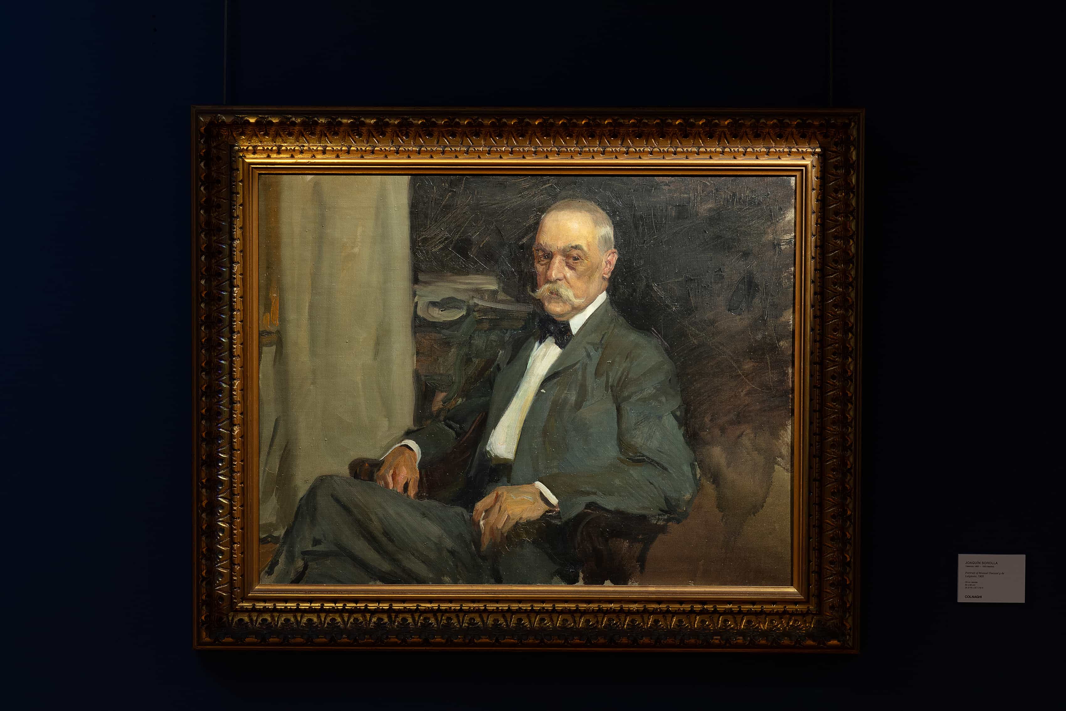 Sorolla: A Celebration of Life
