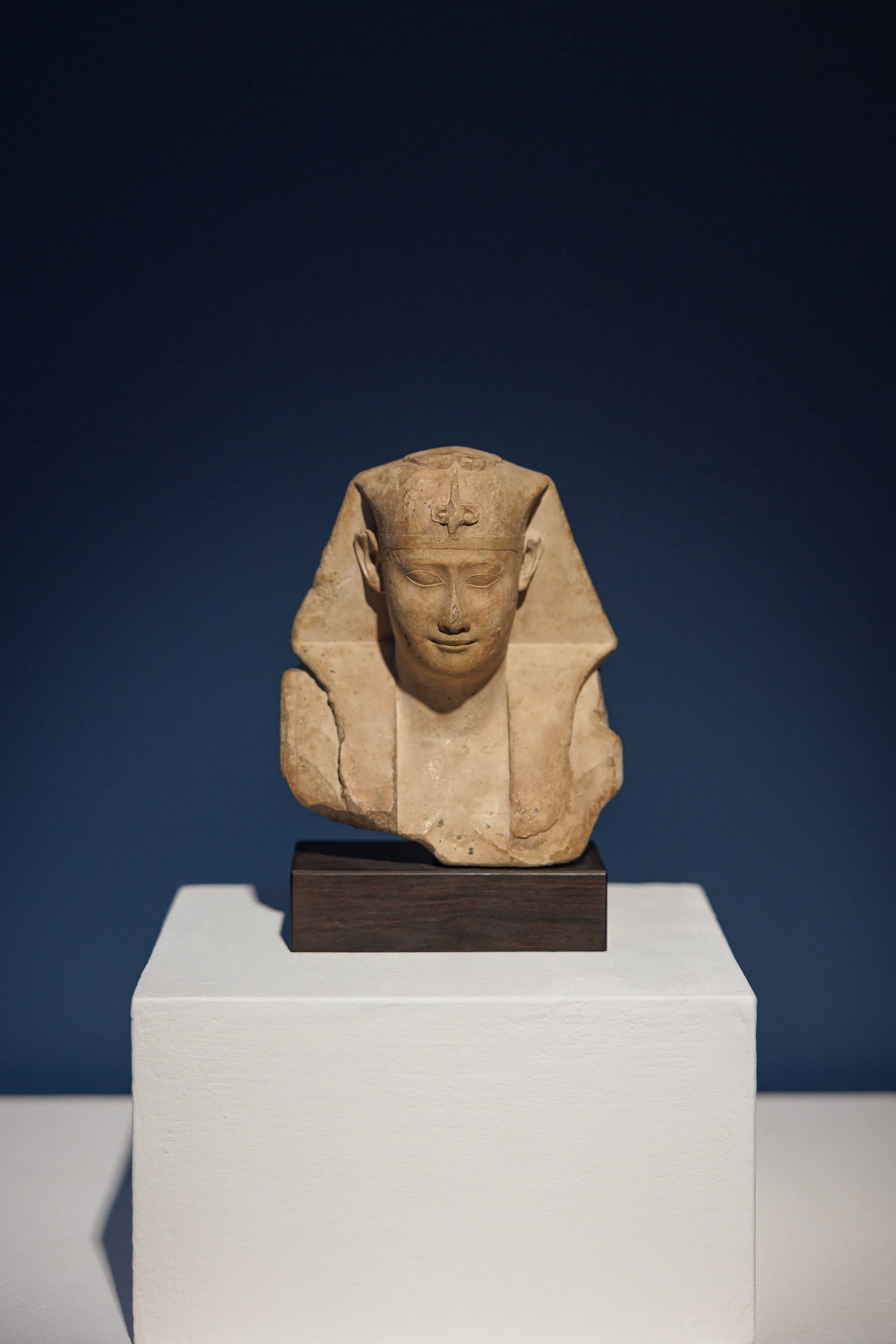 Out of the Sand: Ancient Egypt Rediscovered