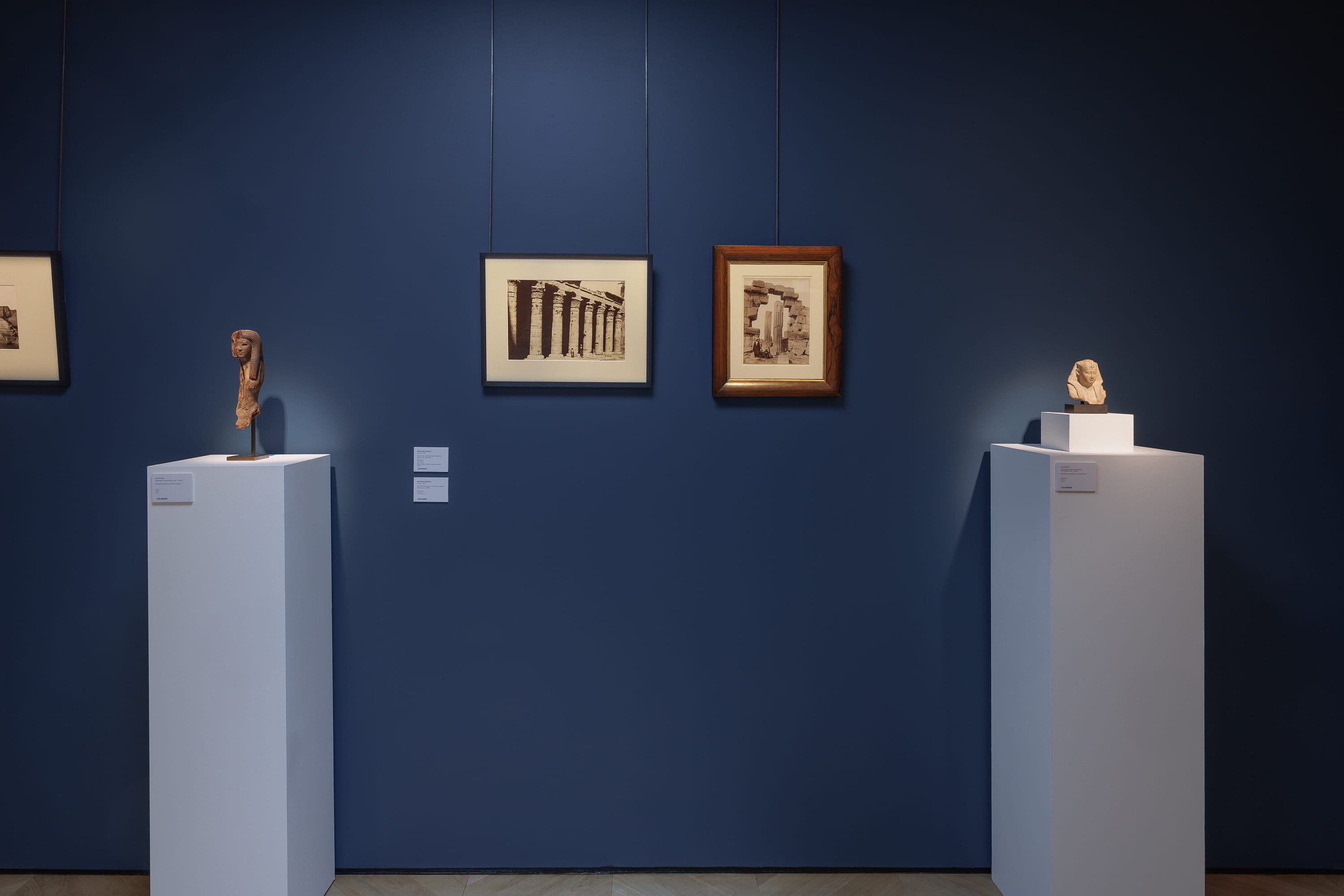 Out of the Sand: Ancient Egypt Rediscovered