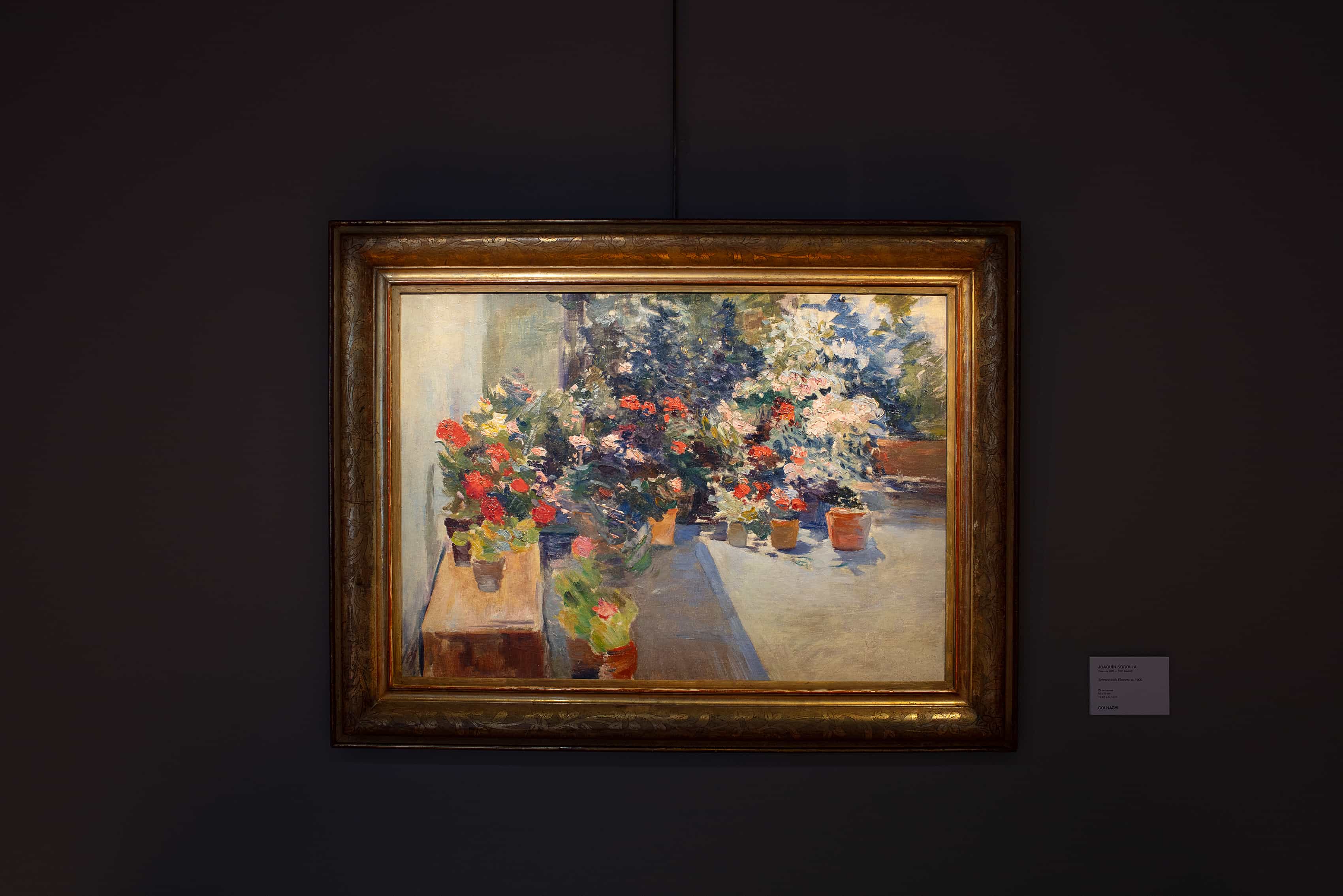 Sorolla: A Celebration of Life